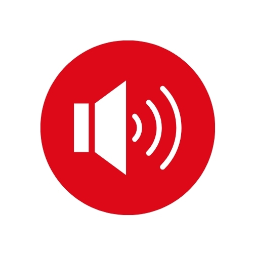 Loud Speaker